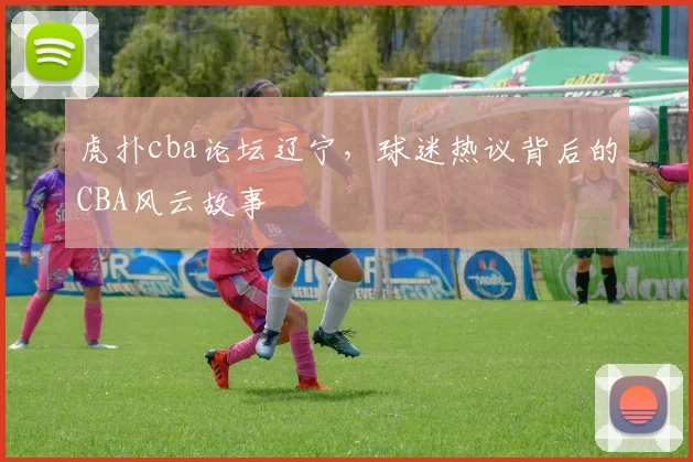 虎扑cba论坛辽宁，球迷热议背后的CBA风云故事