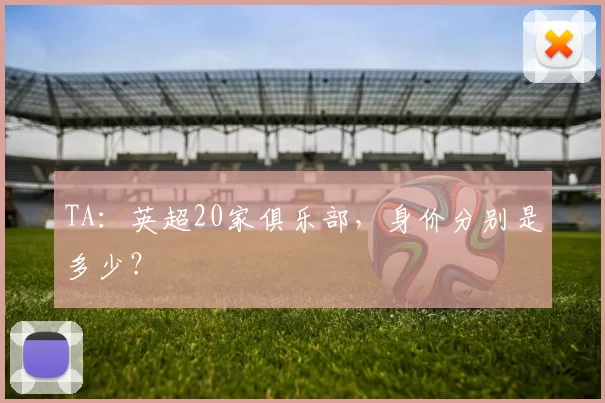 TA：英超20家俱乐部，身价分别是多少？