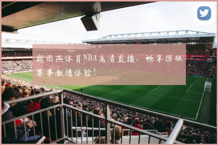 新雨燕体育NBA高清直播，畅享顶级赛事激情体验！