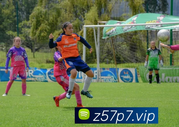 开云kaiyun网页版官网 - 开云kaiyun(中国)品牌故事