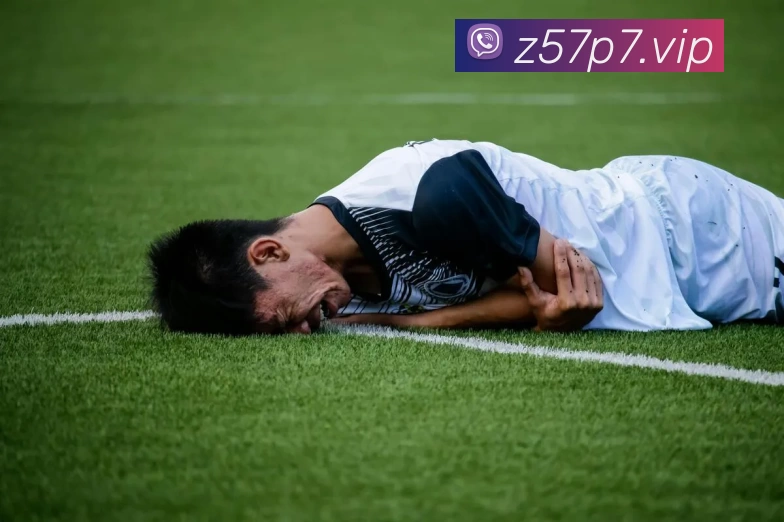 开云kaiyun网页版官网 - 开云kaiyun(中国)APP 封面图