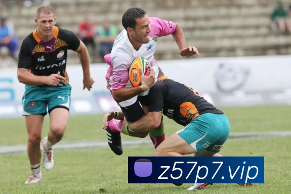 数据防护可视化